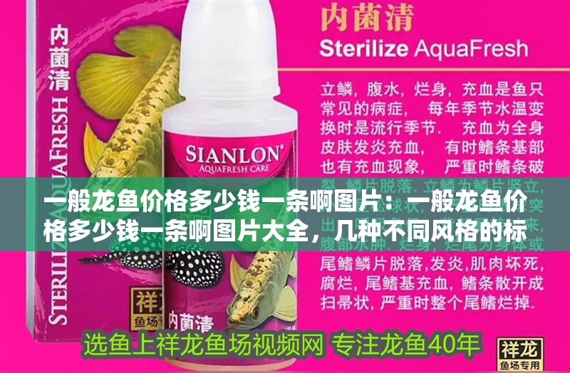 一般龍魚價格多少錢一條啊圖片：一般龍魚價格多少錢一條啊圖片大全，幾種不同風格的標題供你參考，，探秘！一般龍魚價格及海量圖片全覽，速看，一般龍魚多少錢一條，附超全圖片集，解鎖一般龍魚價格謎團，暢賞圖片 一般龍魚價格多少錢一條啊圖片：一般龍魚價格多少錢一條啊圖片大全，幾種不同風格的標題供你參考，，探秘！一般龍魚價格及海量圖片全覽，速看，一般龍魚多少錢一條，附超全圖片集，解鎖一般龍魚價格謎團，暢賞圖片 水族問答