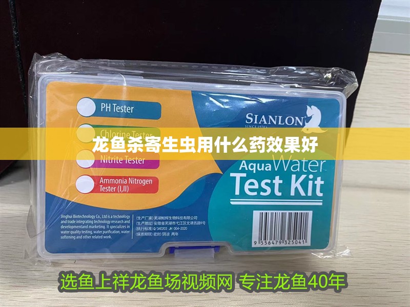 龍魚殺寄生蟲用什么藥效果好 龍魚百科 第2張 龍魚殺寄生蟲用什么藥效果好 龍魚殺寄生蟲用什么藥效果好 龍魚百科 第2張