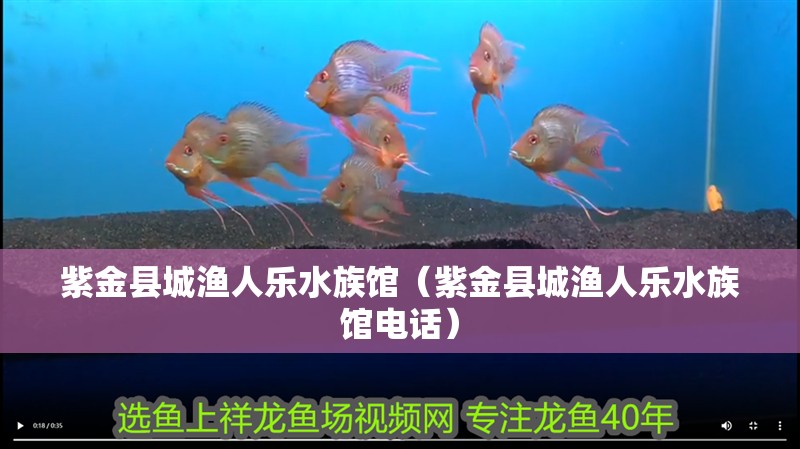 紫金縣城漁人樂水族館（紫金縣城漁人樂水族館電話）