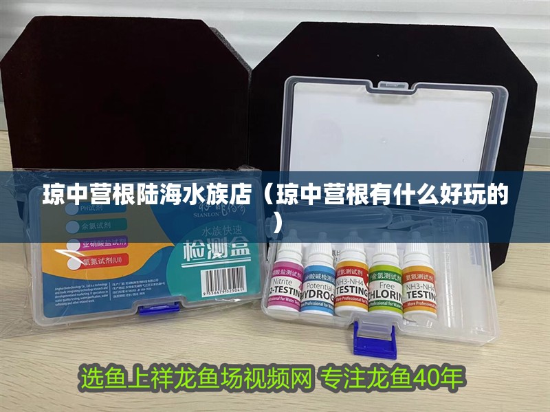 瓊中營根陸海水族店(瓊中營根有什么好玩的)