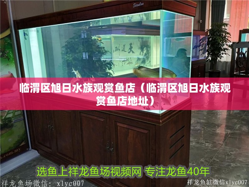臨渭區旭日水族觀賞魚店(臨渭區旭日水族觀賞魚店地址) 全國水族館企業名錄 第2張 臨渭區旭日水族觀賞魚店(臨渭區旭日水族觀賞魚店地址) 臨渭區旭日水族觀賞魚店(臨渭區旭日水族觀賞魚店地址) 全國水族館企業名錄 第2張