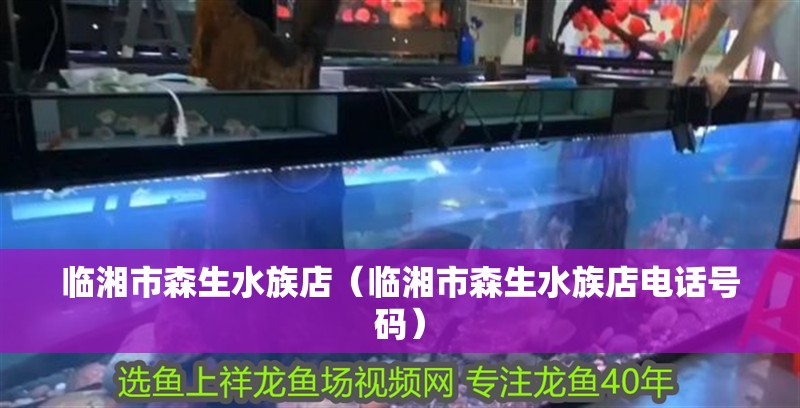 臨湘市森生水族店（臨湘市森生水族店電話號碼） 臨湘市森生水族店（臨湘市森生水族店電話號碼） 全國水族館企業名錄 第2張