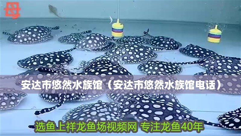 安達(dá)市悠然水族館（安達(dá)市悠然水族館電話） 安達(dá)市悠然水族館（安達(dá)市悠然水族館電話） 全國水族館企業(yè)名錄 第2張