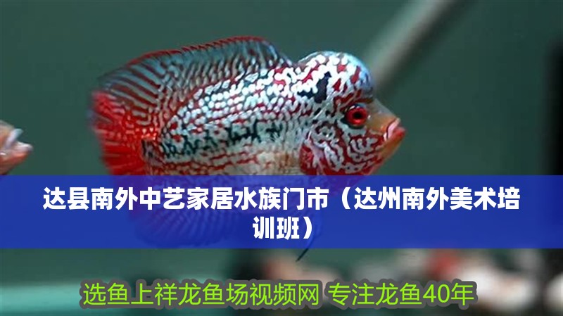 達(dá)縣南外中藝家居水族門市（達(dá)州南外美術(shù)培訓(xùn)班） 達(dá)縣南外中藝家居水族門市（達(dá)州南外美術(shù)培訓(xùn)班） 全國水族館企業(yè)名錄 第2張