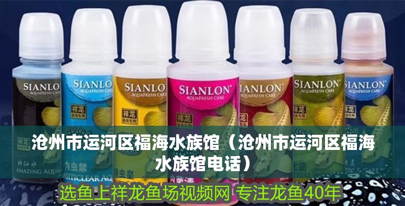 滄州市運河區福海水族館(滄州市運河區福海水族館電話) 全國水族館企業名錄 第2張 滄州市運河區福海水族館(滄州市運河區福海水族館電話) 滄州市運河區福海水族館(滄州市運河區福海水族館電話) 全國水族館企業名錄 第2張