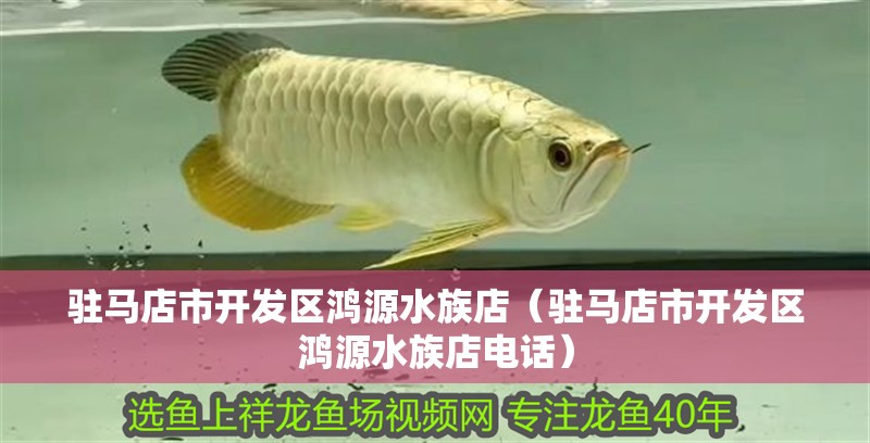 駐馬店市開發區鴻源水族店（駐馬店市開發區鴻源水族店電話）