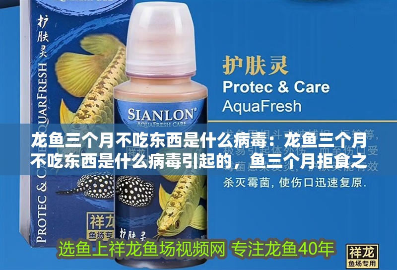 龍魚三個月不吃東西是什么病毒:龍魚三個月不吃東西是什么病毒引起的,魚三個月拒食之謎,究竟何種病毒 水族問答 龍魚三個月不吃東西是什么病毒:龍魚三個月不吃東西是什么病毒引起的,魚三個月拒食之謎,究竟何種病毒 龍魚三個月不吃東西是什么病毒:龍魚三個月不吃東西是什么病毒引起的,魚三個月拒食之謎,究竟何種病毒 水族問答