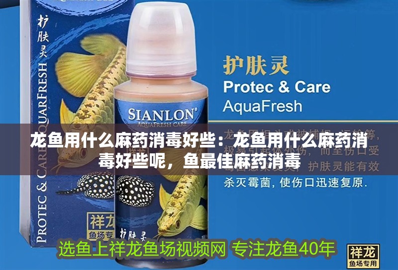 龍魚用什么麻藥消毒好些：龍魚用什么麻藥消毒好些呢，魚最佳麻藥消毒