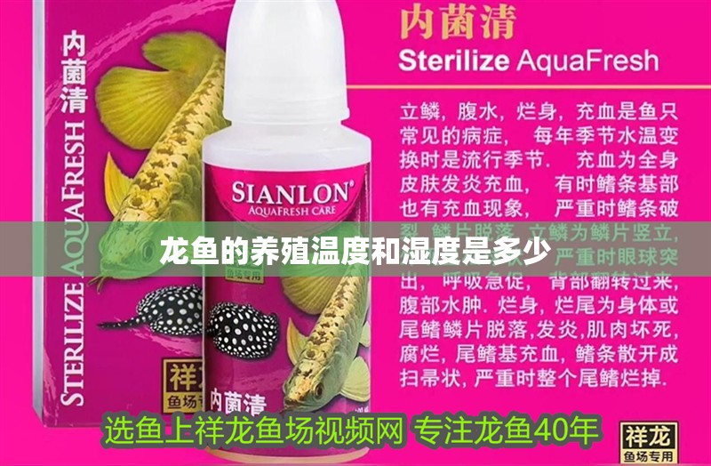 龍魚的養殖溫度和濕度是多少