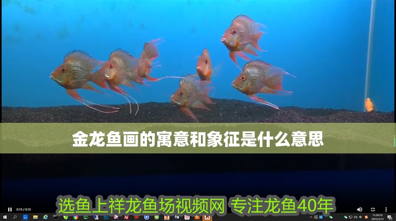 金龍魚畫的寓意和象征是什么意思 金龍魚畫的寓意和象征是什么意思 龍魚百科 第4張