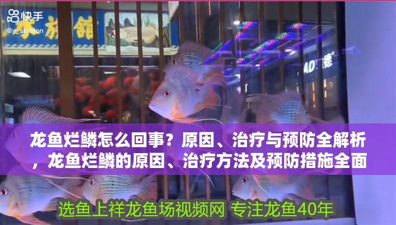 龍魚爛鱗怎么回事？原因、治療與預防全解析，龍魚爛鱗的原因、治療方法及預防措施全面解析