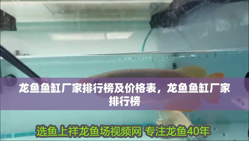 龍魚魚缸廠家排行榜及價格表，龍魚魚缸廠家排行榜