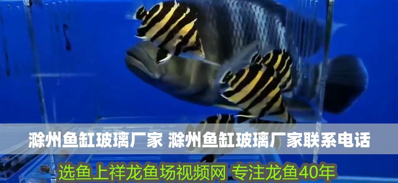 <strong><mark>滁州</mark></strong>魚缸玻璃廠家 <strong><mark>滁州</mark></strong>魚缸玻璃廠家聯系電話