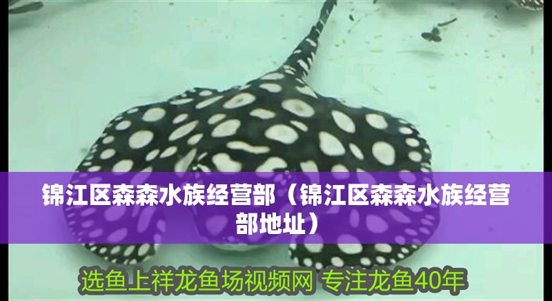 錦江區森森水族經營部（錦江區森森水族經營部地址） 錦江區森森水族經營部（錦江區森森水族經營部地址） 全國水族館企業名錄 第2張