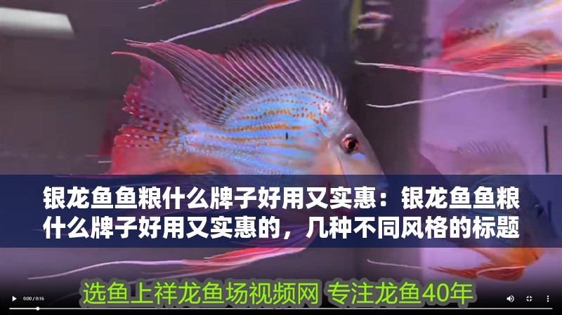 銀龍魚魚糧什么牌子好用又實惠：銀龍魚魚糧什么牌子好用又實惠的，幾種不同風格的標題供你參考，你可以根據需求進行選擇，，探尋好用又實惠的銀龍魚魚糧品牌，解鎖！哪些牌子的銀龍魚魚糧既好用又實惠，精選，好用且實惠的銀龍魚魚糧品牌推薦