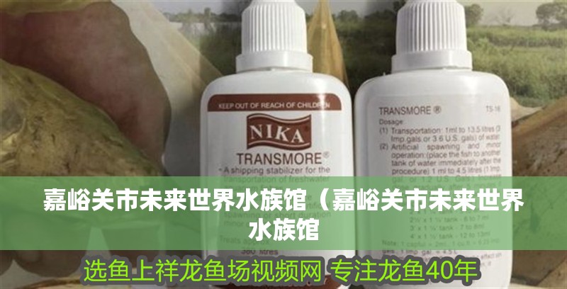 嘉峪關市未來世界水族館（嘉峪關市未來世界水族館