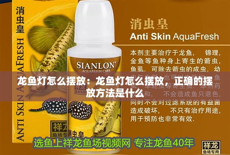 龍魚燈怎么擺放：龍魚燈怎么擺放，正確的擺放方法是什么