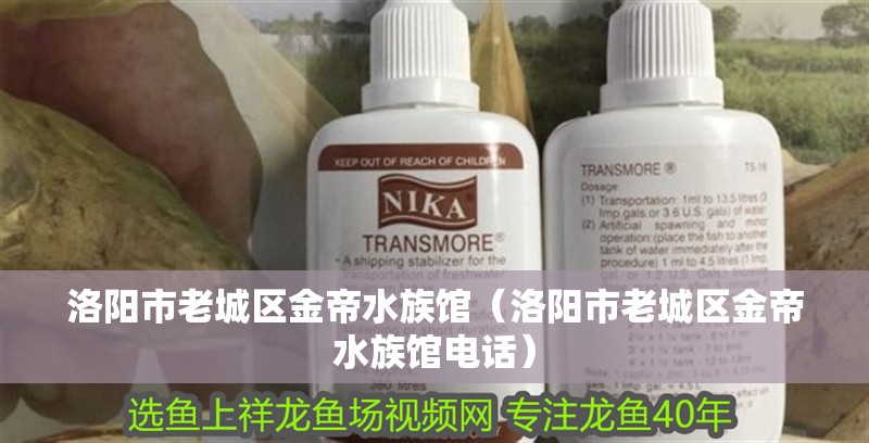 洛陽市老城區金帝水族館（洛陽市老城區金帝水族館電話）