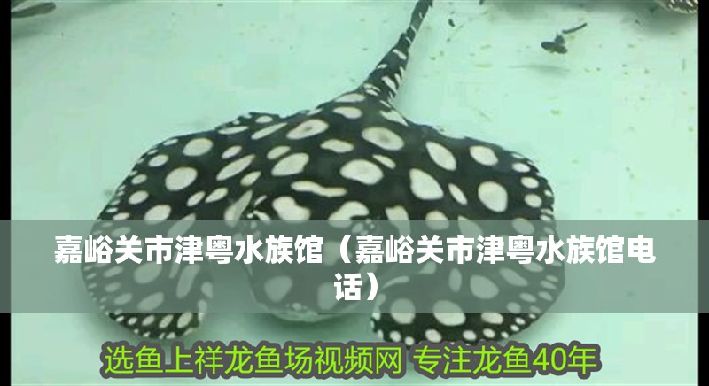 嘉峪關(guān)市津粵水族館（嘉峪關(guān)市津粵水族館電話）