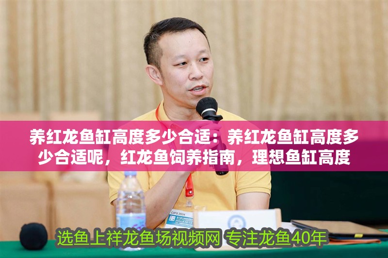 養(yǎng)紅龍魚缸高度多少合適：養(yǎng)紅龍魚缸高度多少合適呢，紅龍魚飼養(yǎng)指南，理想魚缸高度