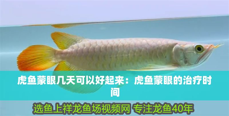 虎魚蒙眼幾天可以好起來：虎魚蒙眼的治療時間