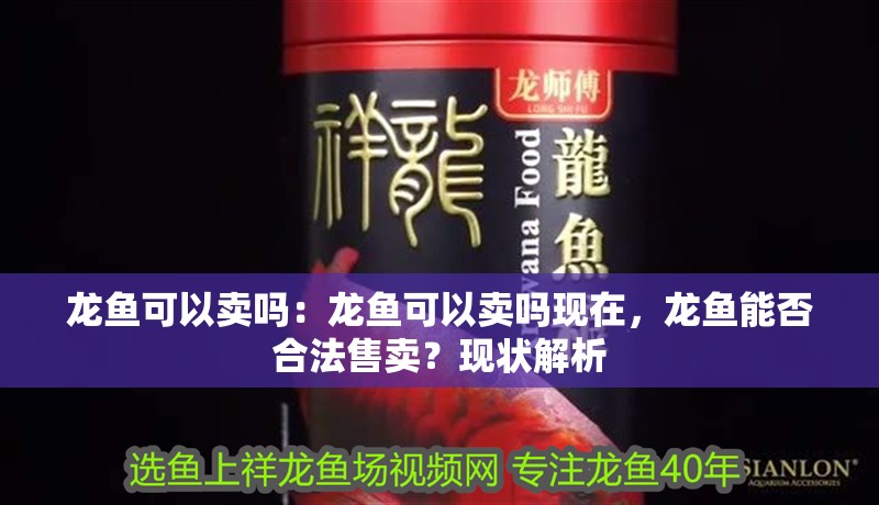 龍魚可以賣嗎：龍魚可以賣嗎現在，龍魚能否合法售賣？現狀解析