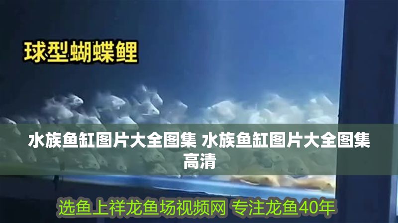 水族魚缸圖片大全圖集 水族魚缸圖片大全圖集高清