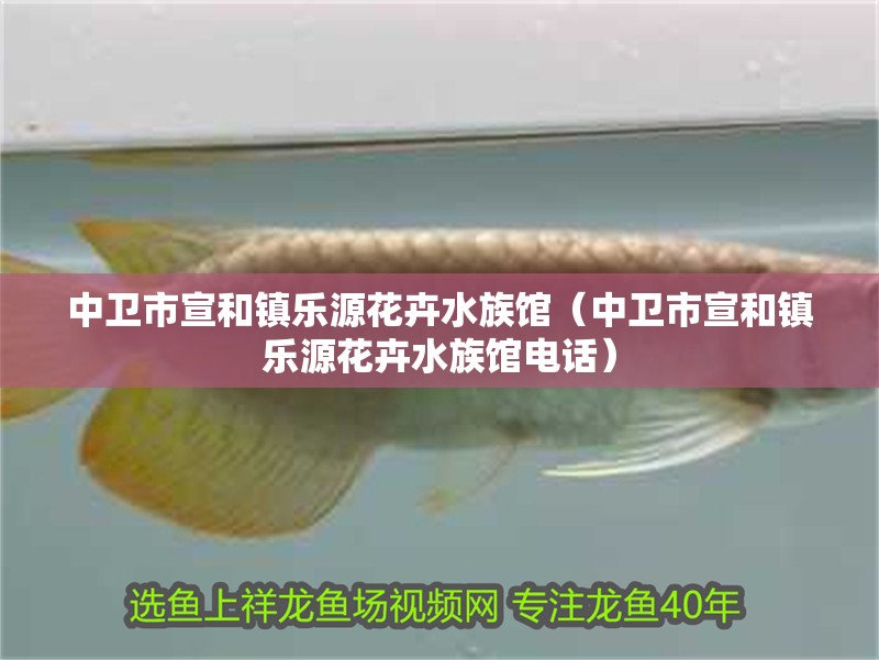 中衛(wèi)市宣和鎮(zhèn)樂源花卉水族館（中衛(wèi)市宣和鎮(zhèn)樂源花卉水族館電話）