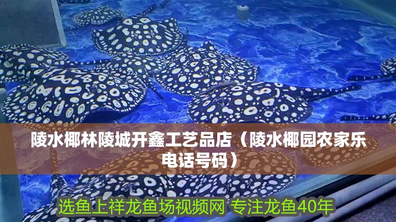 陵水椰林陵城開鑫工藝品店（陵水椰園農家樂電話號碼）