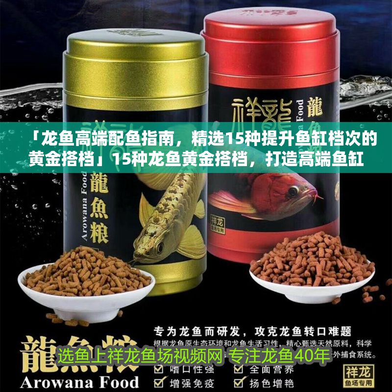 「龍魚高端配魚指南，精選15種提升魚缸檔次的黃金搭檔」15種龍魚黃金搭檔，打造高端魚缸的完美組合
