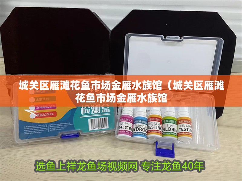 城關區雁灘花魚市場金雁水族館（城關區雁灘花魚市場金雁水族館 城關區雁灘花魚市場金雁水族館（城關區雁灘花魚市場金雁水族館 全國水族館企業名錄 第2張