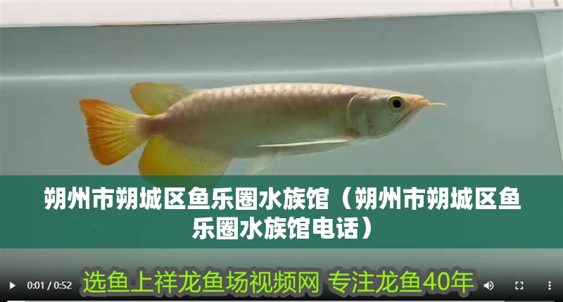 朔州市朔城區(qū)魚樂圈水族館（朔州市朔城區(qū)魚樂圈水族館電話）