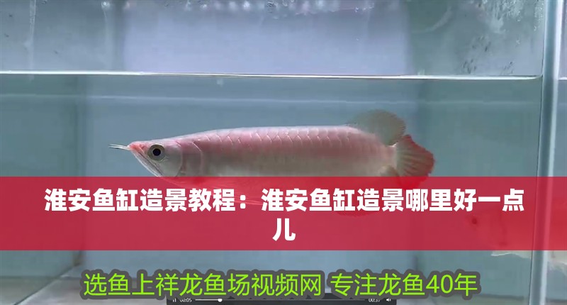 淮安魚缸造景教程：淮安魚缸造景哪里好一點兒 淮安魚缸造景教程：淮安魚缸造景哪里好一點兒 魚缸百科