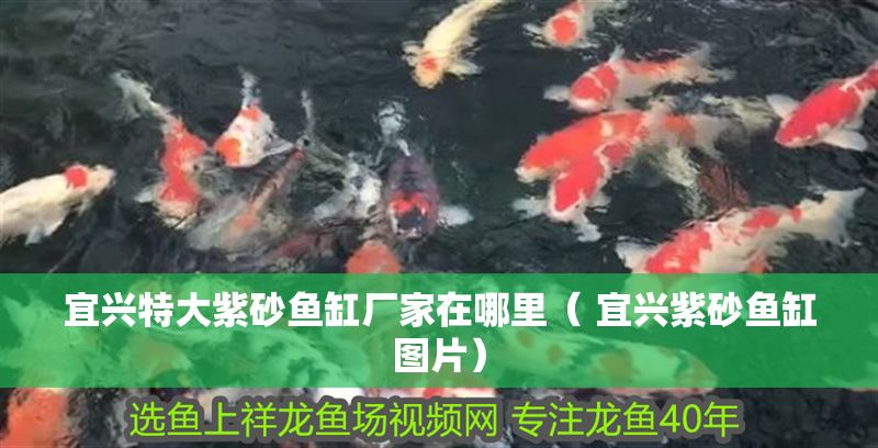 宜興特大紫砂魚缸廠家在哪里（ 宜興紫砂魚缸圖片） 宜興特大紫砂魚缸廠家在哪里（ 宜興紫砂魚缸圖片） 紅龍魚百科 第1張