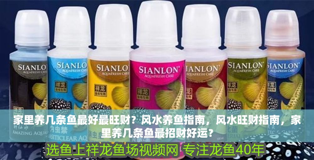 家里養(yǎng)幾條魚(yú)最好最旺財(cái)？風(fēng)水養(yǎng)魚(yú)指南，風(fēng)水旺財(cái)指南，家里養(yǎng)幾條魚(yú)最招財(cái)好運(yùn)？