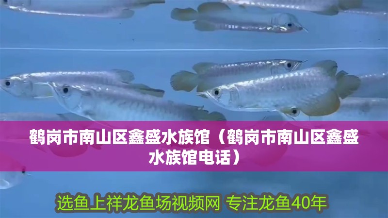 鶴崗市南山區鑫盛水族館（鶴崗市南山區鑫盛水族館電話） 鶴崗市南山區鑫盛水族館（鶴崗市南山區鑫盛水族館電話） 全國水族館企業名錄 第2張