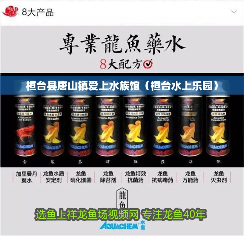 桓臺縣唐山鎮愛上水族館（桓臺水上樂園）