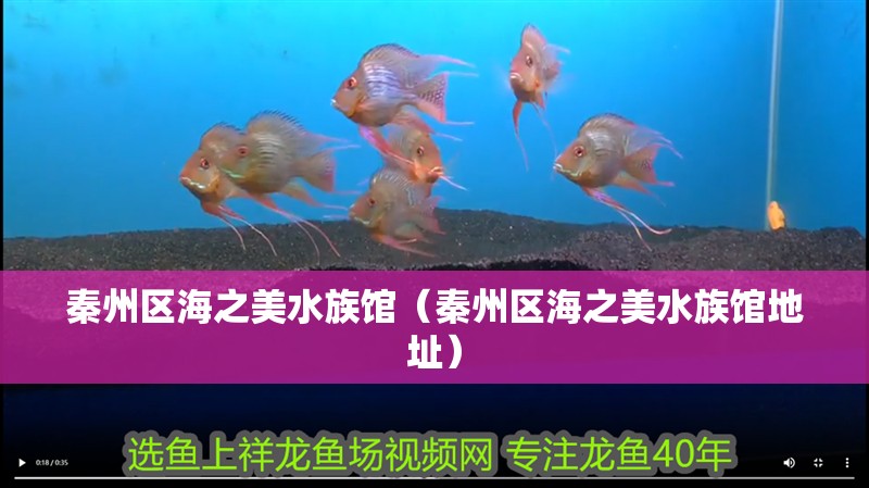 秦州區(qū)海之美水族館（秦州區(qū)海之美水族館地址）