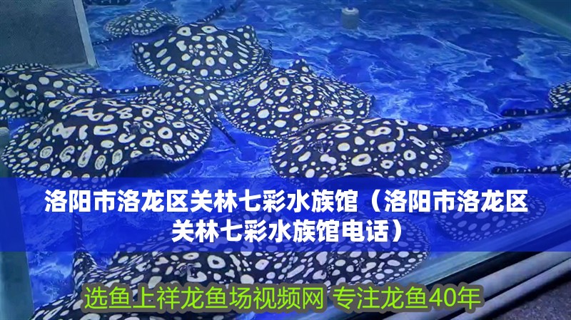 洛陽市洛龍區關林七彩水族館（洛陽市洛龍區關林七彩水族館電話）