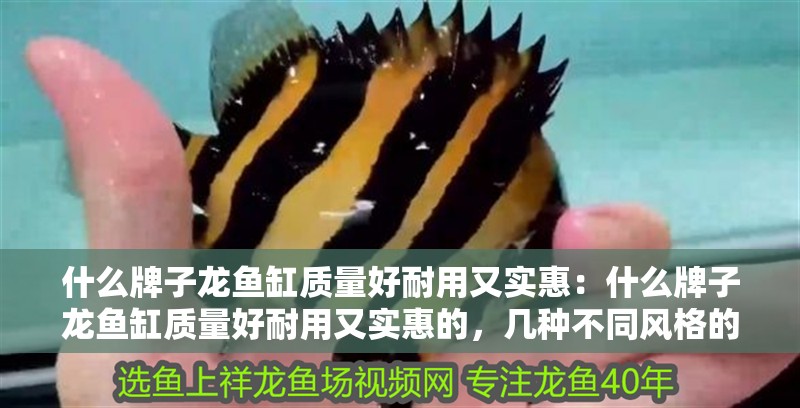 什么牌子龍魚缸質量好耐用又實惠：什么牌子龍魚缸質量好耐用又實惠的，幾種不同風格的標題供你參考，，高性價比之選！盤點質量好、耐用又實惠的龍魚缸品牌，求購指南，探尋質量好、耐用且實惠的龍魚缸優質品牌，品質與性價比兼具，這些龍