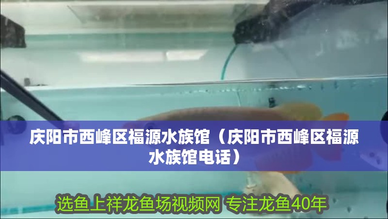 慶陽市西峰區(qū)福源水族館（慶陽市西峰區(qū)福源水族館電話）