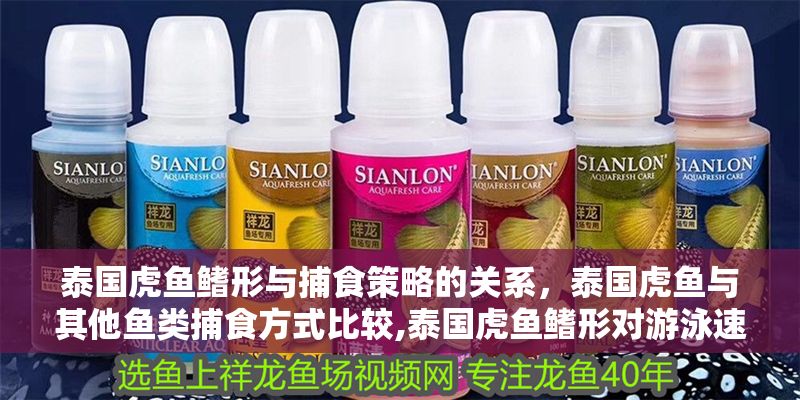 泰國虎魚鰭形與捕食策略的關(guān)系，泰國虎魚與其他魚類捕食方式比較,泰國虎魚鰭形對游泳速度的影響