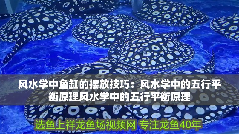 風水學中魚缸的擺放技巧：風水學中的五行平衡原理風水學中的五行平衡原理