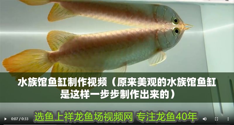 水族館魚缸制作視頻（原來美觀的水族館魚缸是這樣一步步制作出來的）