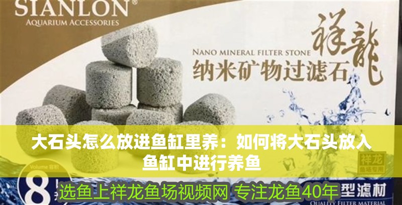 大石頭怎么放進(jìn)魚缸里養(yǎng)：如何將大石頭放入魚缸中進(jìn)行養(yǎng)魚