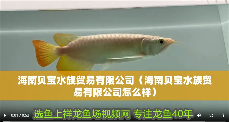 海南貝寶水族貿(mào)易有限公司（海南貝寶水族貿(mào)易有限公司怎么樣）