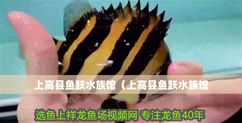 上高縣魚躍水族館（上高縣魚躍水族館