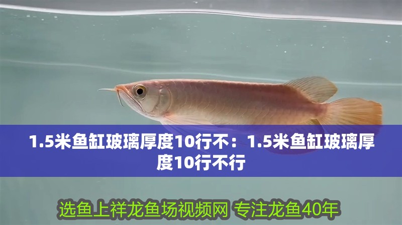 1.5米魚缸玻璃厚度10行不：1.5米魚缸玻璃厚度10行不行