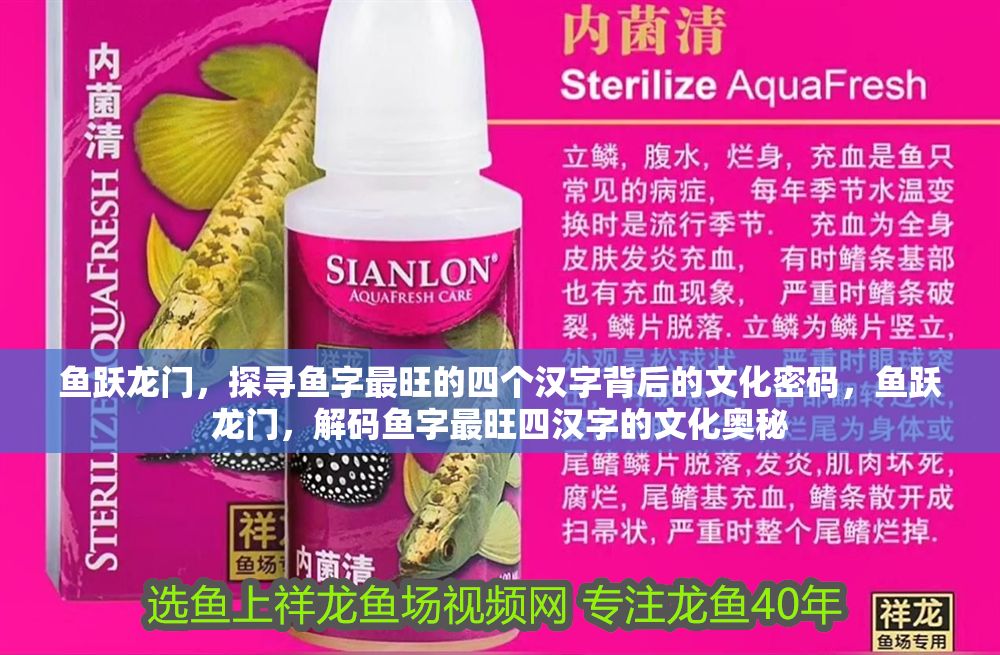 魚躍龍門，探尋魚字最旺的四個漢字背后的文化密碼，魚躍龍門，解碼魚字最旺四漢字的文化奧秘