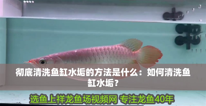 徹底清洗魚缸水垢的方法是什么：如何清洗魚缸水垢？